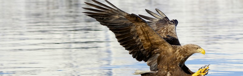 IMG 6740 Arbeitskopie 2